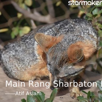 Main Rang Sharbaton Ka-cover