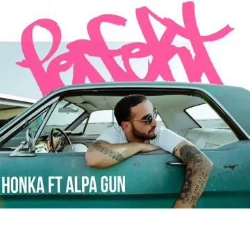Perfekt-cover