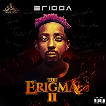 The Erigma 2-cover