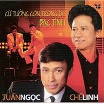 Dấu Tình Sầu-cover