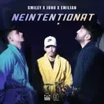 Neintentionat.-cover