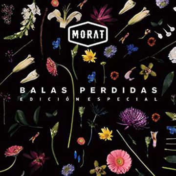 Mi Vida Entera-cover