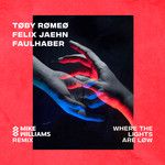 Where The Lights Are Low(Mike Williams Remix)-cover