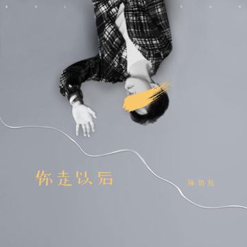你走以后-cover