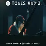 Dance Monkey (Stripped Back)-cover