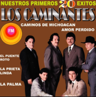 La Guitarra y la Mujer-cover