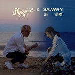 Somebody Like You(Duet Version)-cover