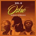 Oshe-cover