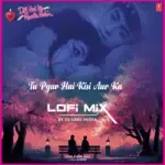 Tu Pyar Hai Kisi Aur Ka Lofi Mix(Remix By Dj Abhi India)-cover