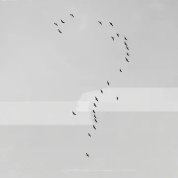 Mỗi Khi Đêm Về-cover