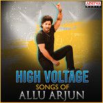 Lover Also Fighter Also(From "Naa Peru Surya Naa Illu India")-cover