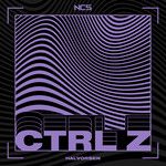 CTRL Z-cover