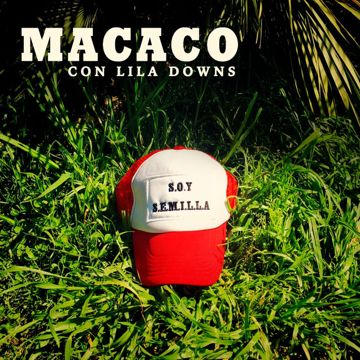 Semillas-cover