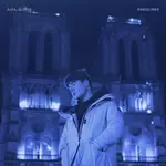 PARIGI RMX-cover