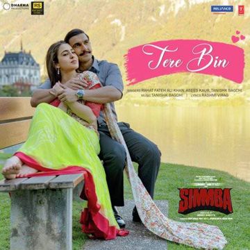 Tere Bin Simmba-cover