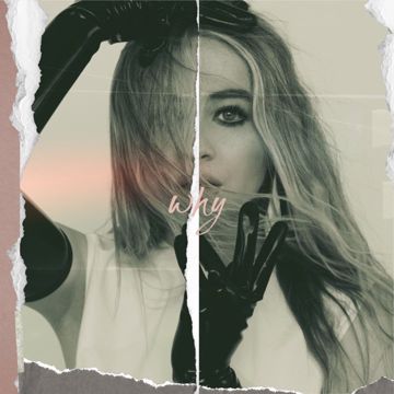 Why-cover