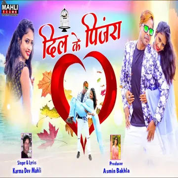 Dil Ke Pinjra-cover