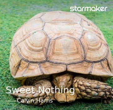 Sweet Nothing-cover
