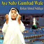 Aye Sabz Gumbad Wale-cover