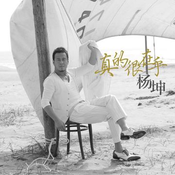 真的很在乎-cover