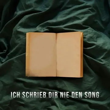 Ich schrieb dir nie den Song-cover
