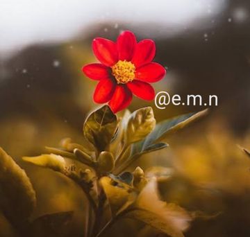 Gidecek Yerim Mi Var  @e.m.n-cover