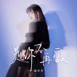 是你不再爱(DJ阿卓版)(DJ版)-cover