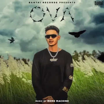 Ova-cover