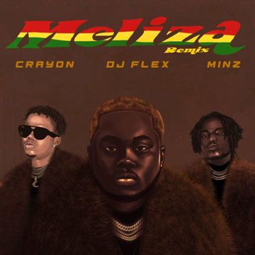 Meliza (Remix) [feat. DJ Flex]-cover