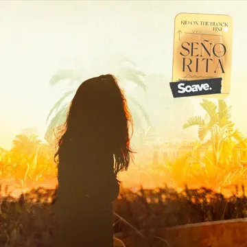 Señorita-cover