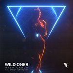 Wild Ones-cover