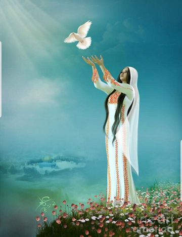 عايشه حاله حب