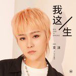 我这一生(DJ沈念版)(DJ版)
