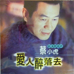 爱人醉落去-cover