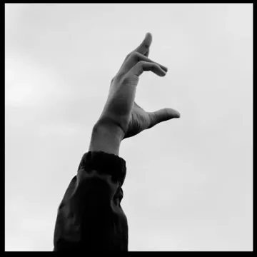 Champagne Shots-cover