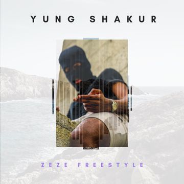 viyana freestyle-cover