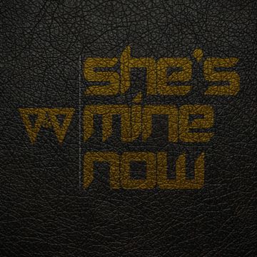 vv-cover