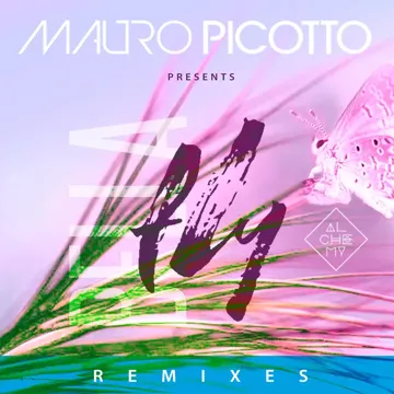 Fly (feat. BELLA) (MOOLS Remix)-cover