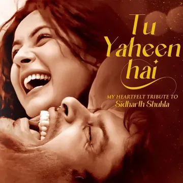 Tu Yaheen Hai-cover