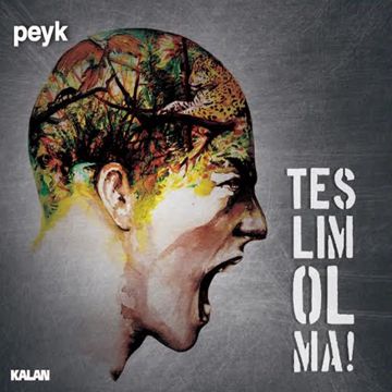 Bu Ben-cover