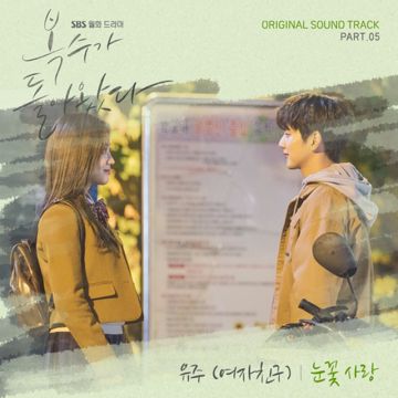 눈꽃사랑-cover