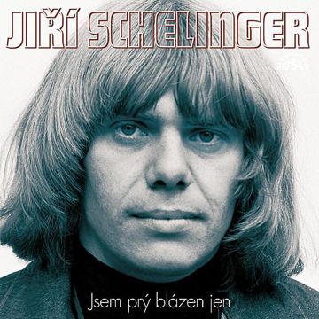 ji-schelinger-sim---sala---bim-cover-image