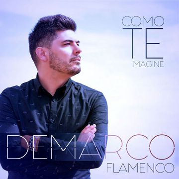 Como te imaginé-cover
