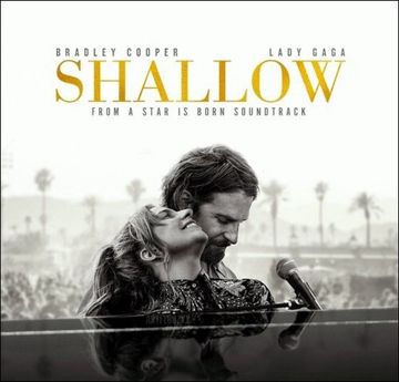 Shallow (Acoustic Ver.)-cover