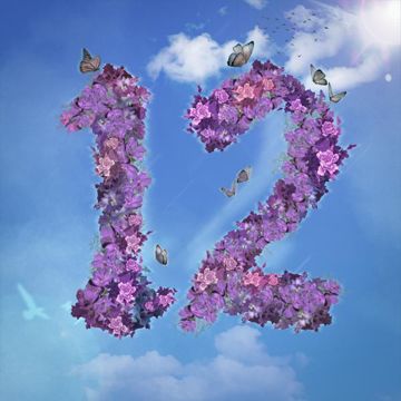 12-cover