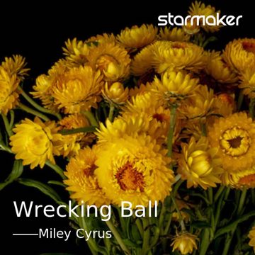 Wrecking Ball-cover