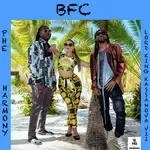 BFC-cover