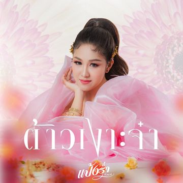 ต้าวเงาะจ๋า-cover