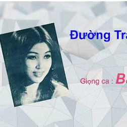 bang-chau-ng-trn-vn-no-cover-image