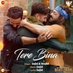 Tere Bina-cover